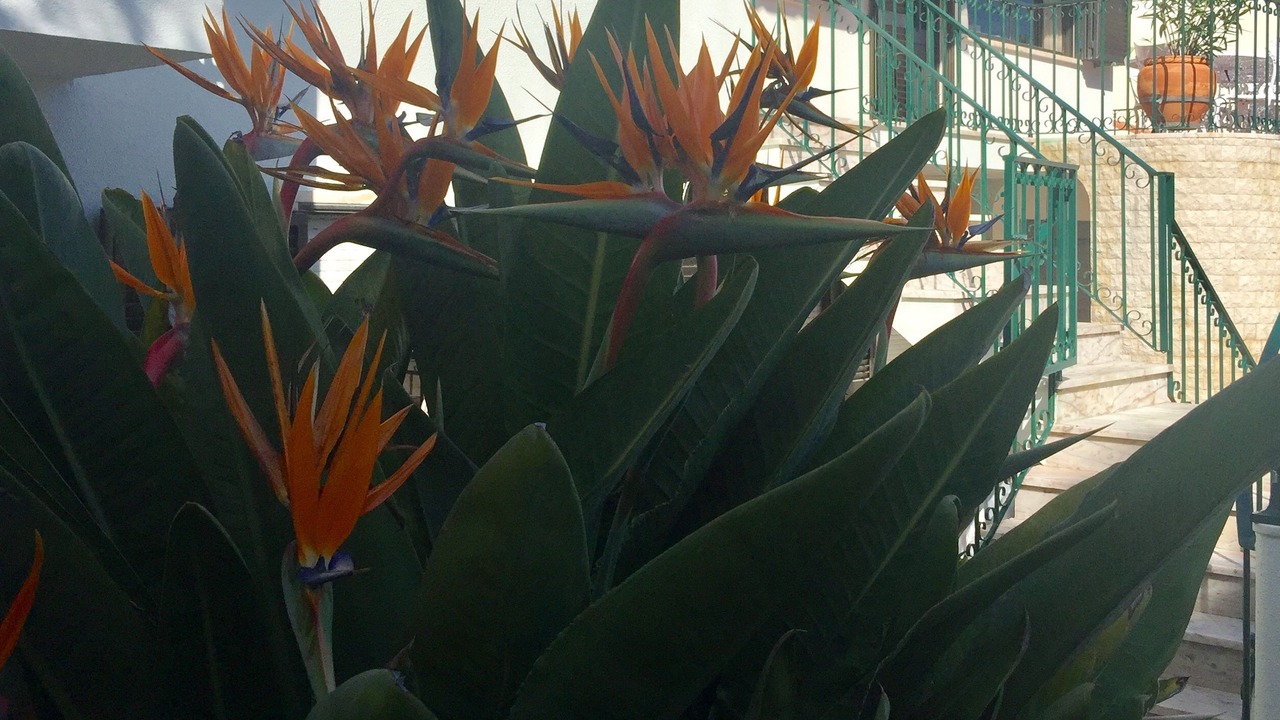 Photo of Outdoor in Cascais