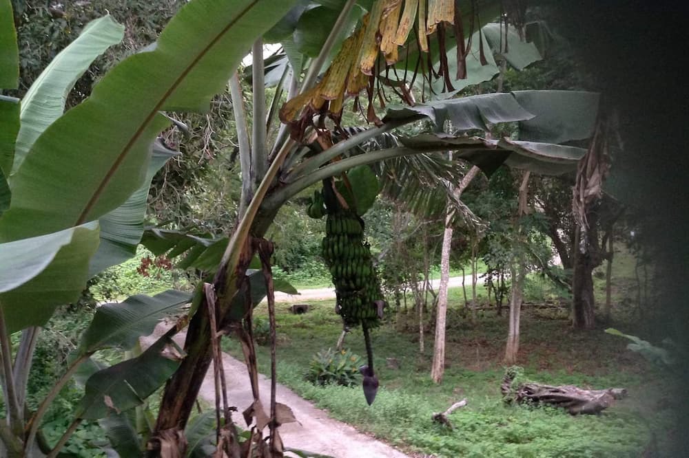 Photo of Outdoor in Tagaqe