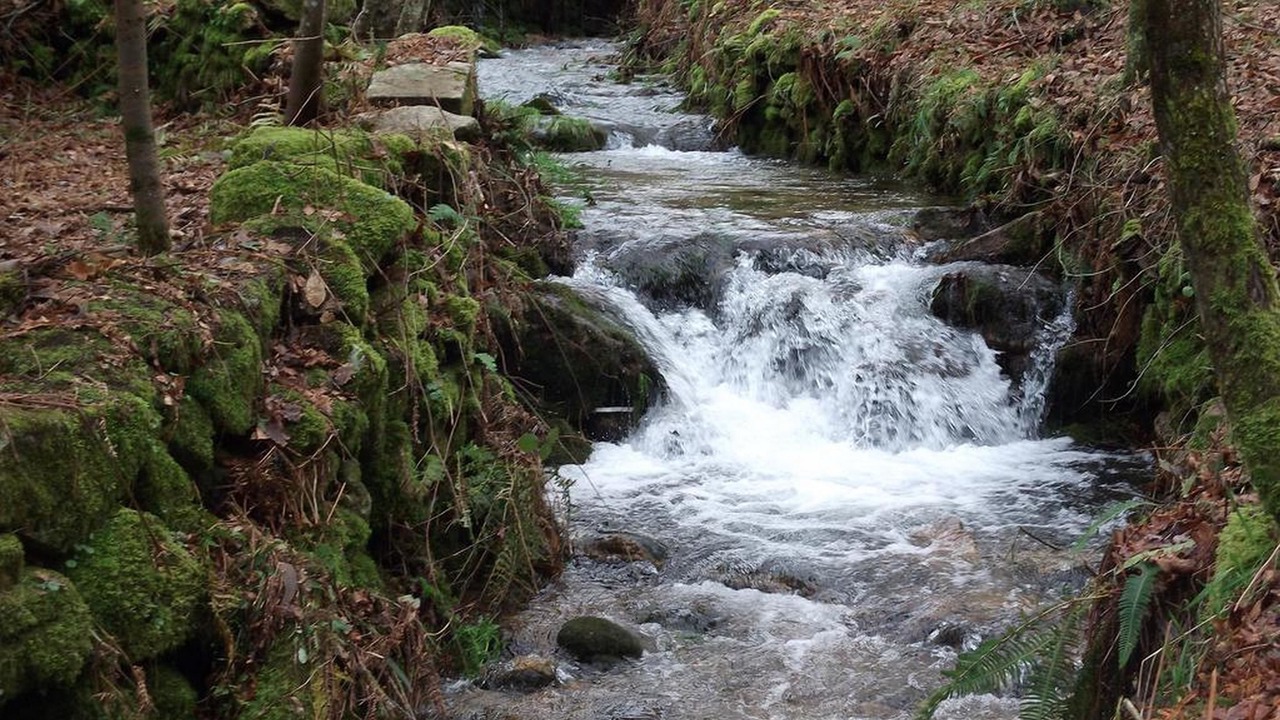 Photo of Others in Oliveira de Frades