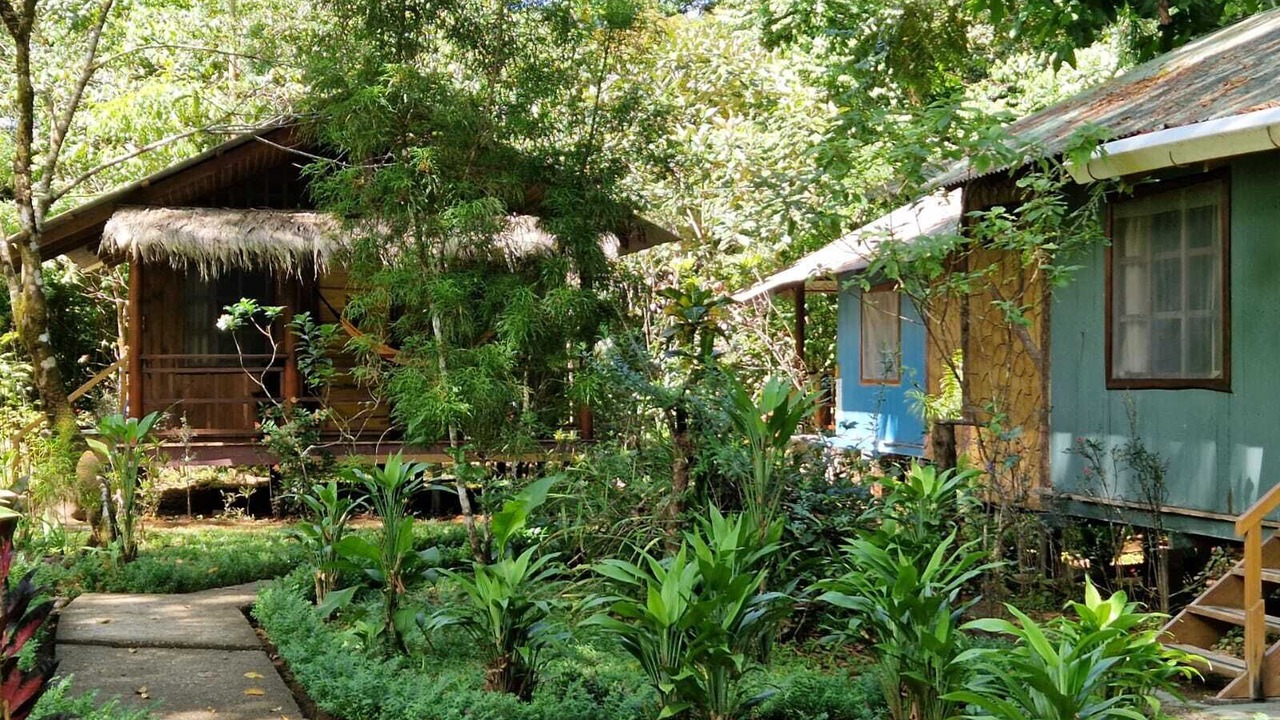 Photo of Outdoor in Drake Bay