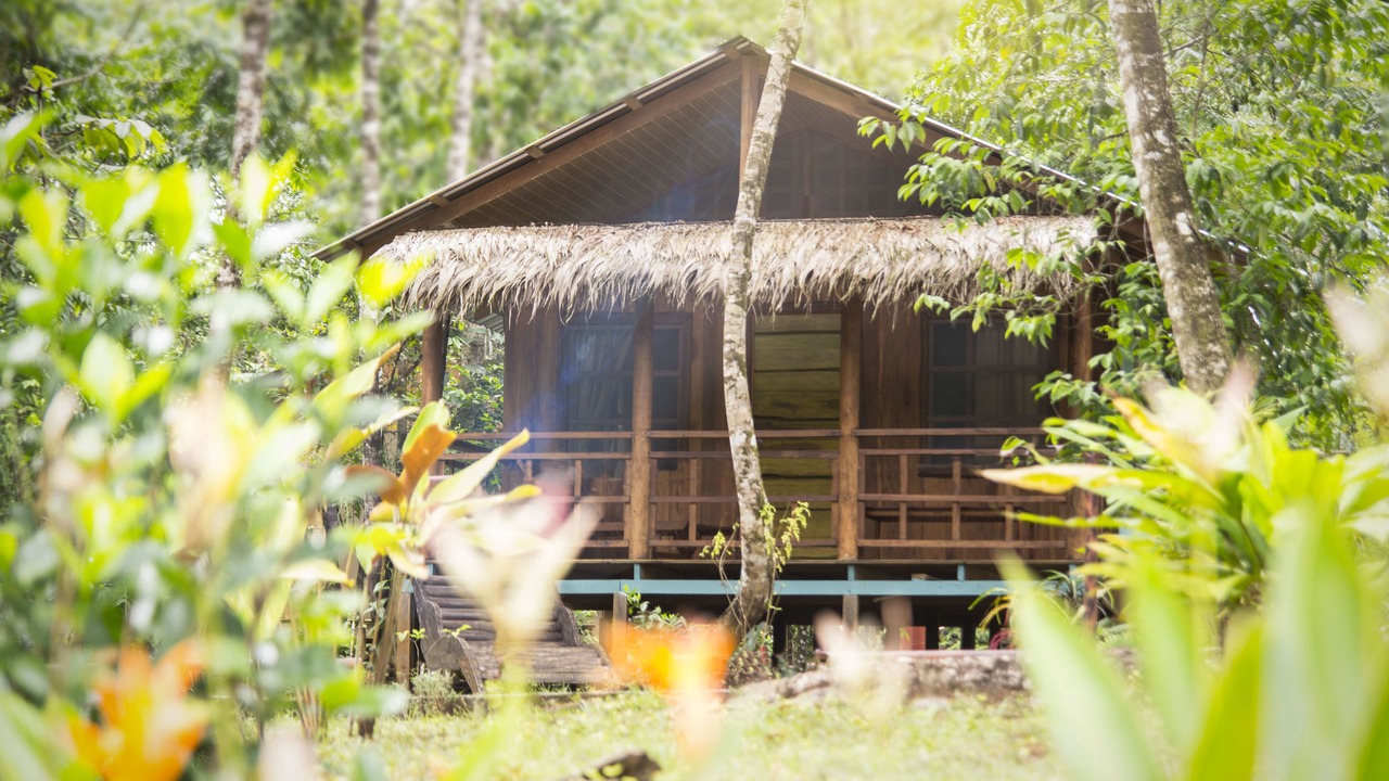Photo of Outdoor in Drake Bay