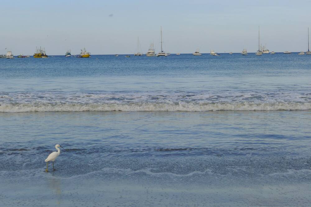 Photo of Others in San Juan del Sur
