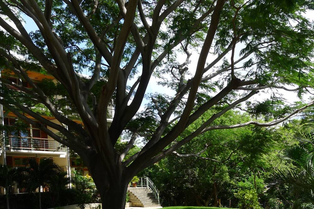 Photo of Outdoor in San Juan del Sur
