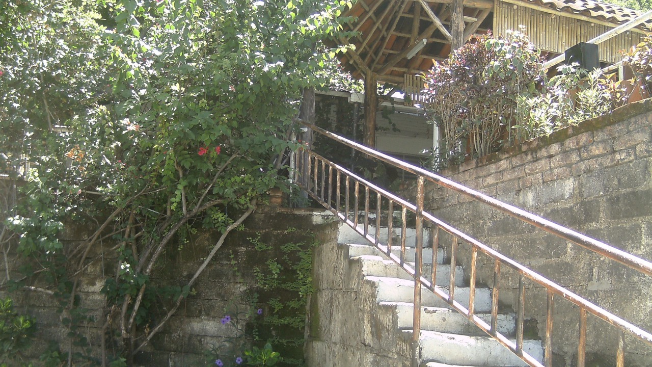 Photo of Others in San Juan del Sur