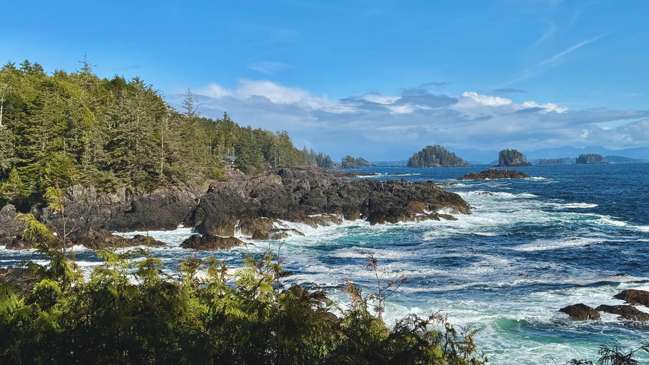 Photo of Others in Ucluelet