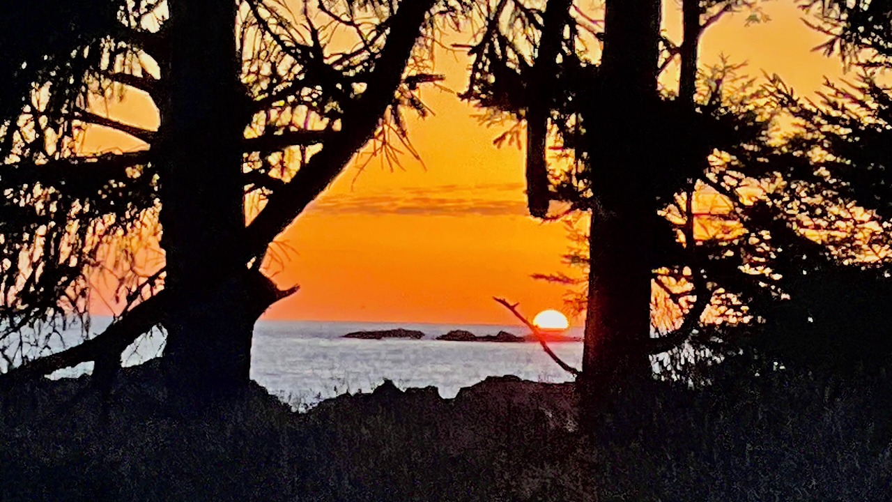 Photo of Others in Ucluelet