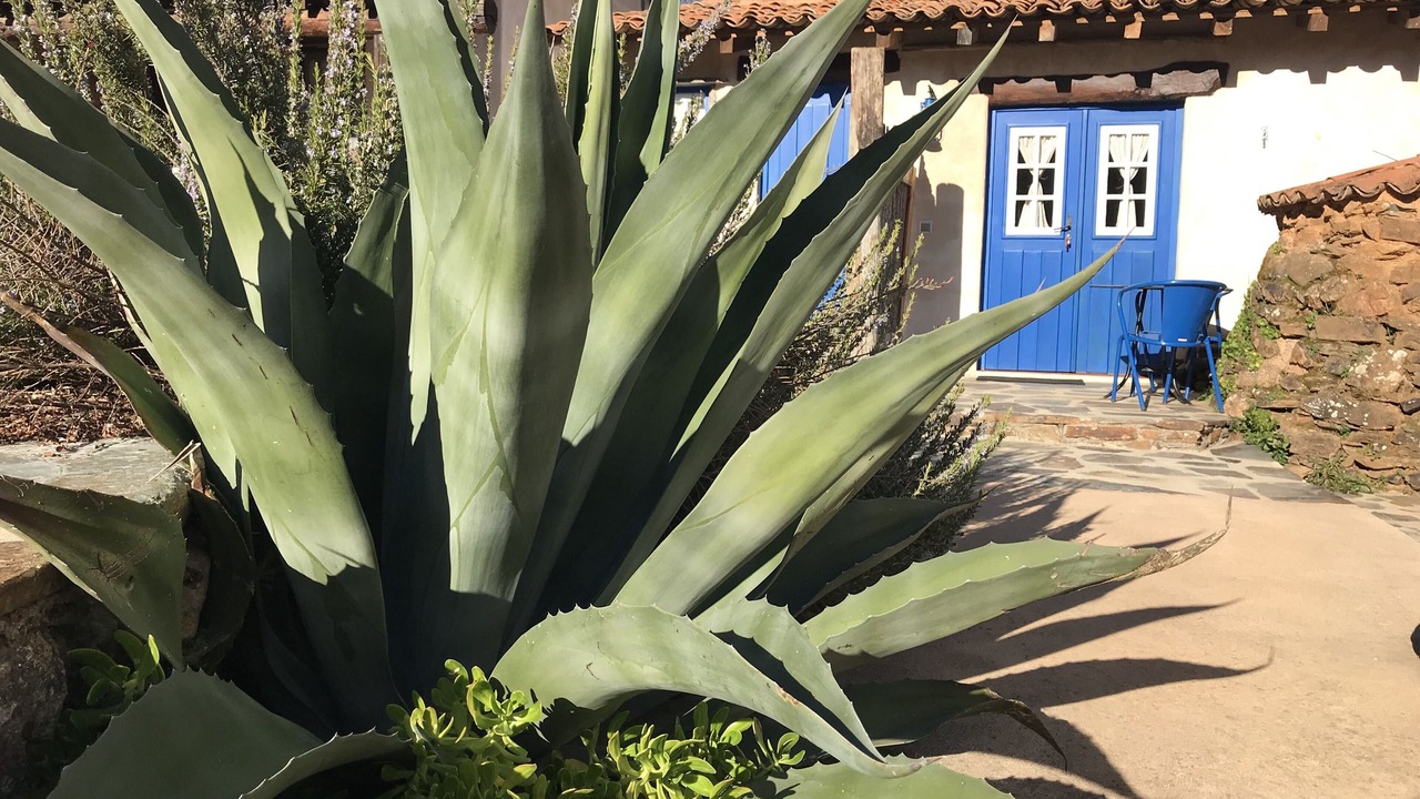 Photo of Outdoor in Penamacor
