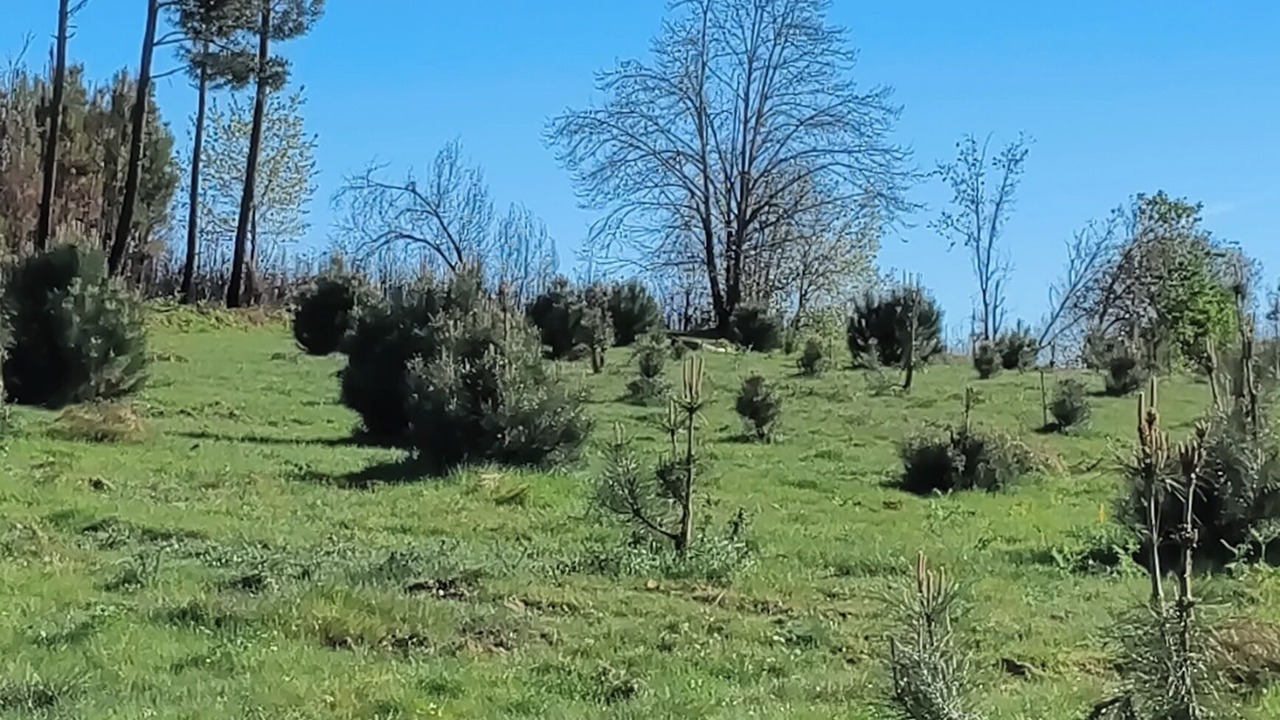 Photo of Outdoor in Seia
