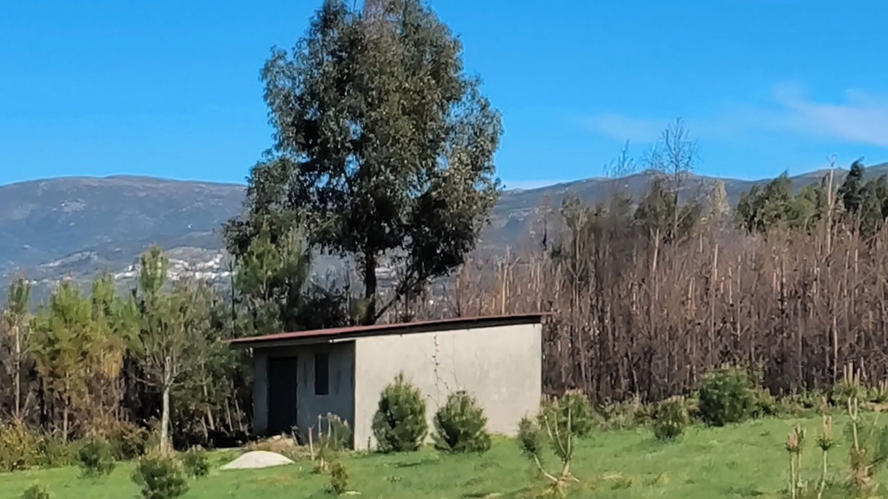 Photo of Outdoor in Seia