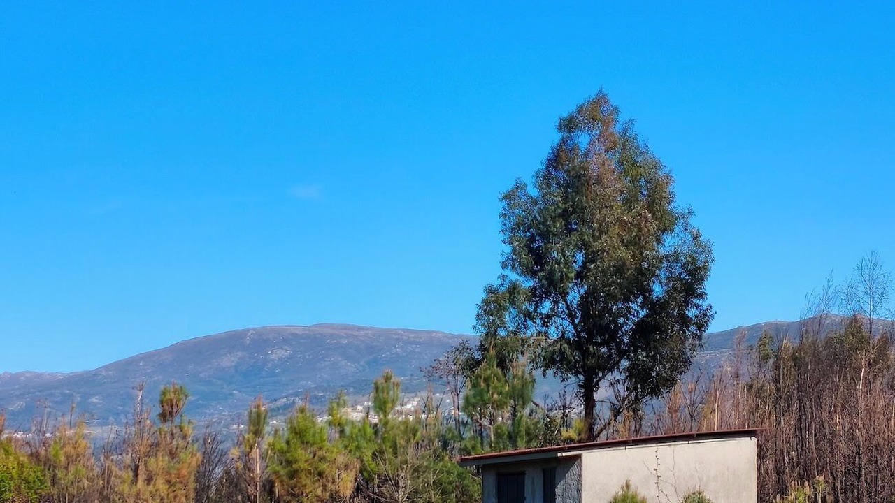 Photo of Outdoor in Seia
