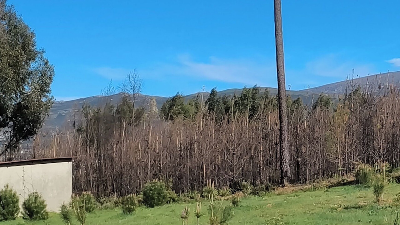 Photo of Outdoor in Seia