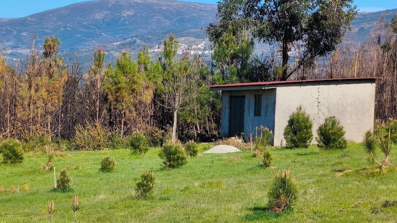 Photo of Outdoor in Seia