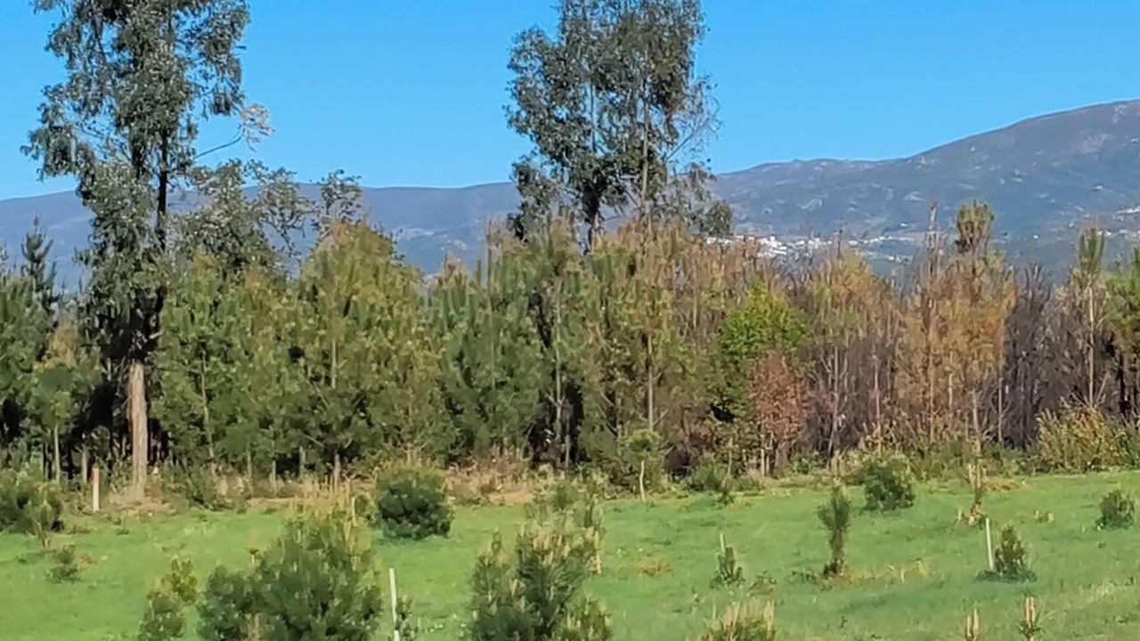 Photo of Outdoor in Seia