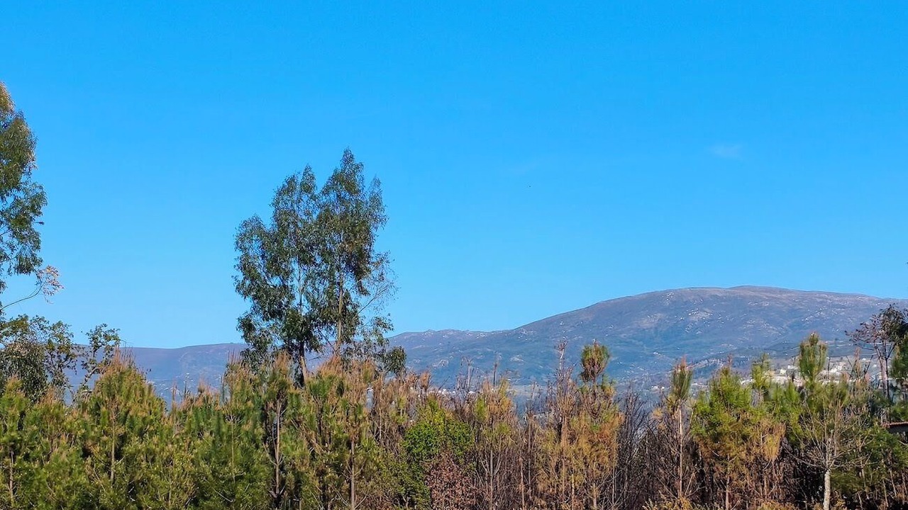 Photo of Outdoor in Seia