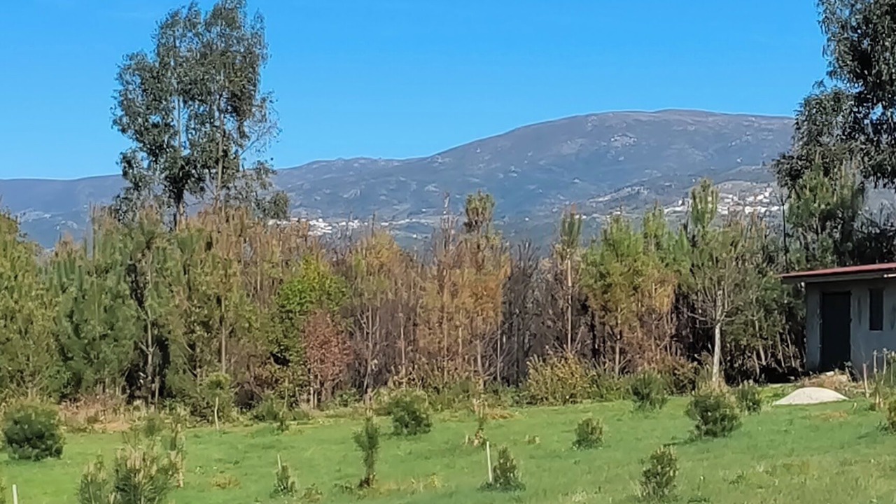 Photo of Outdoor in Seia