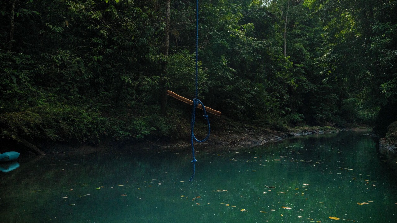 Photo of Outdoor in Drake Bay