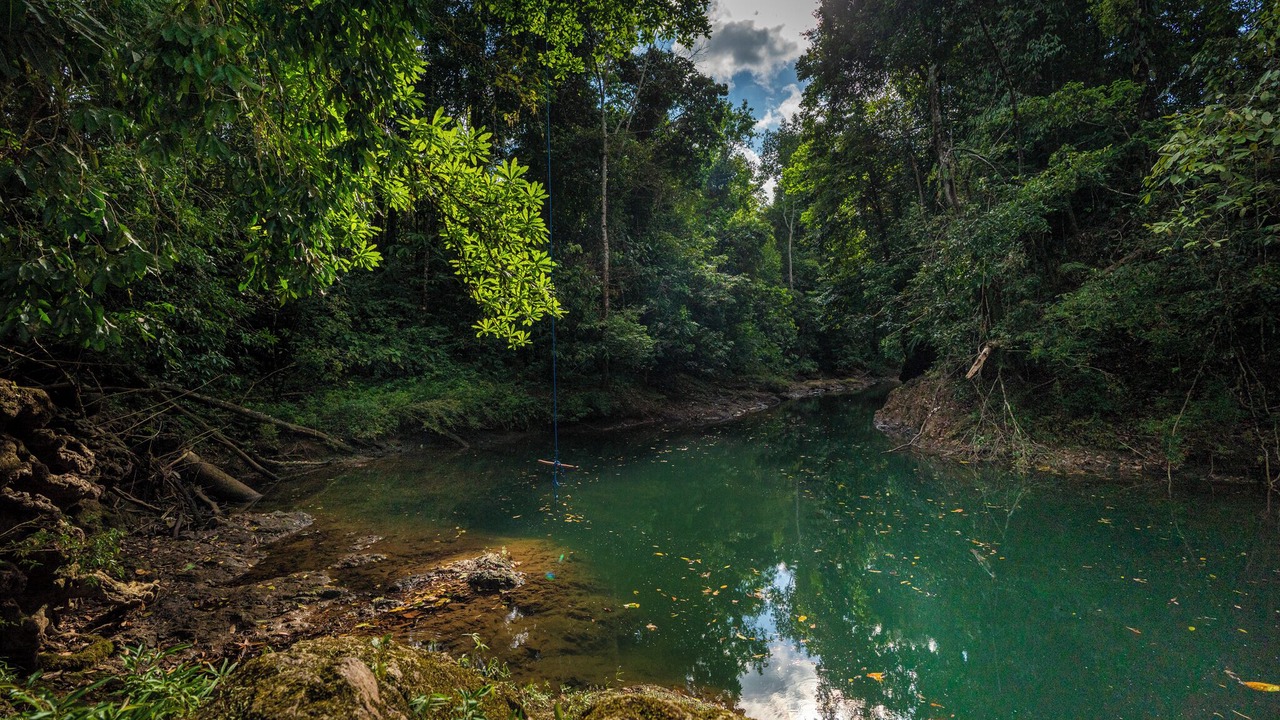 Photo of Outdoor in Drake Bay