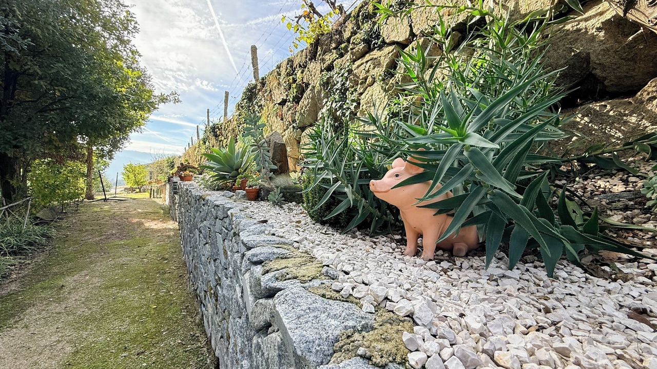 Photo of Outdoor in Baiao