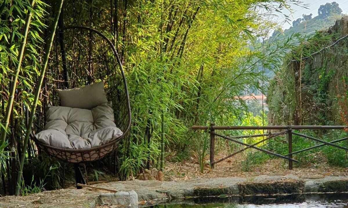 Photo of Outdoor in Baiao