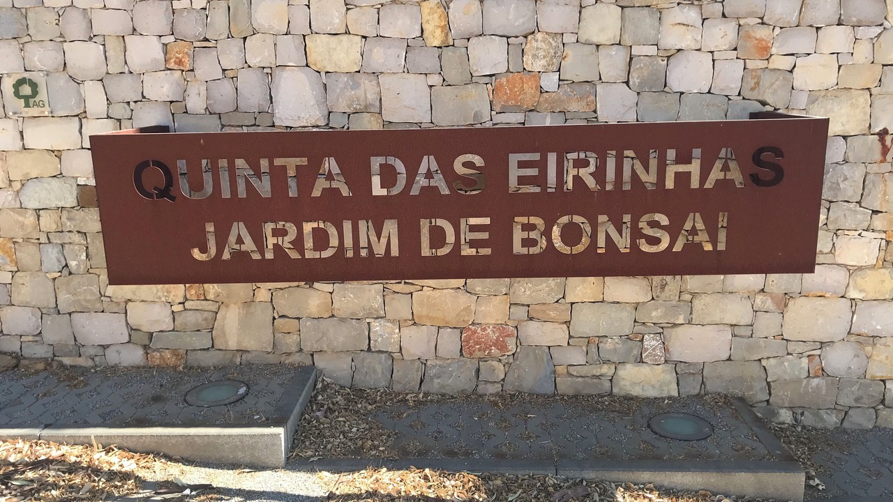Photo of Outdoor in Tavira