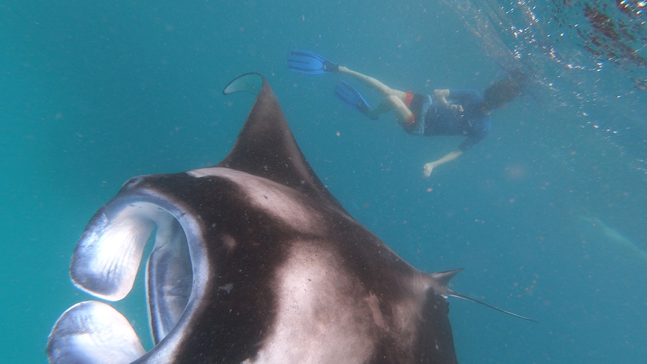 Photo of Others in Dharavandhoo