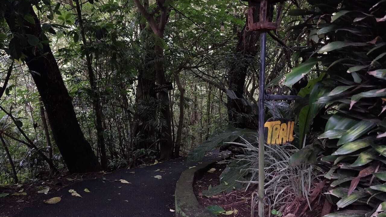 Photo of Outdoor in Sierra