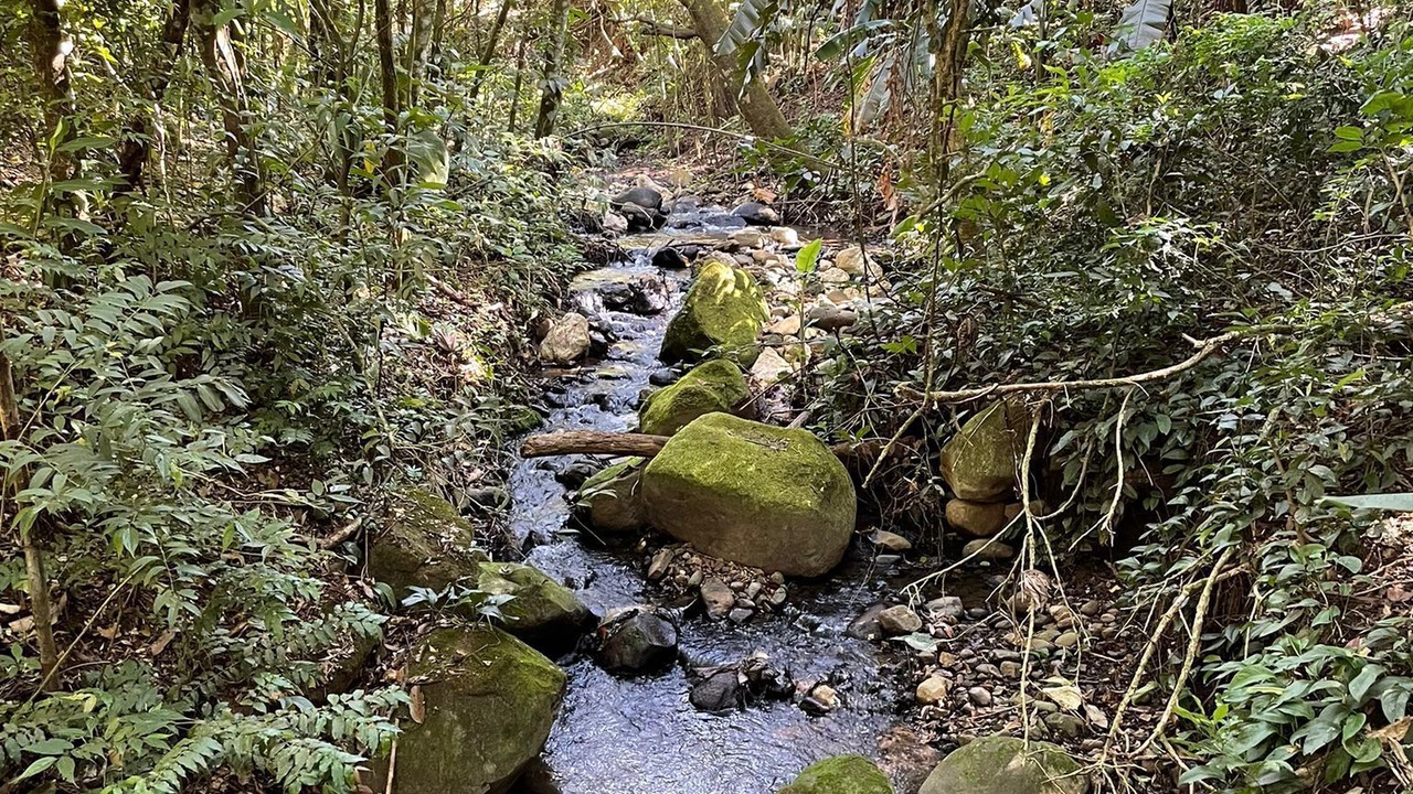 Photo of Outdoor in Sierra