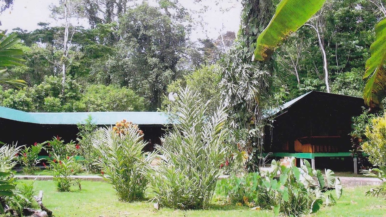 Photo of Outdoor in Puerto Viejo de Talamanca