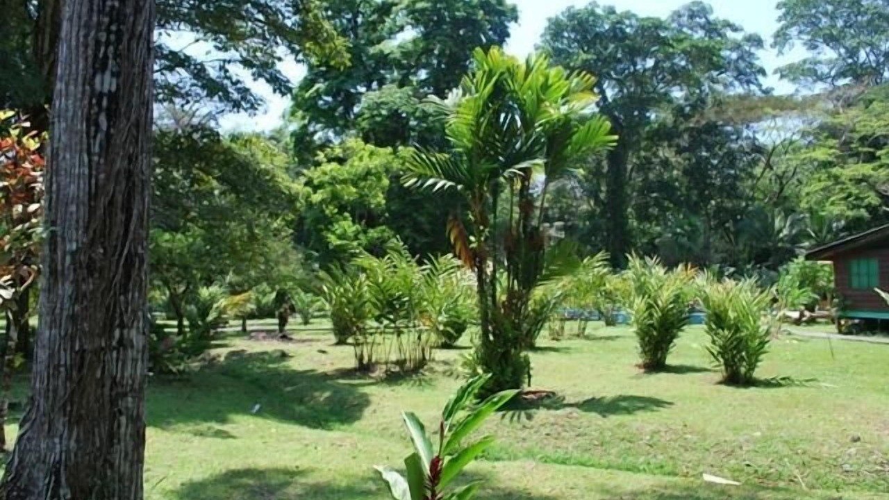 Photo of Outdoor in Puerto Viejo de Talamanca