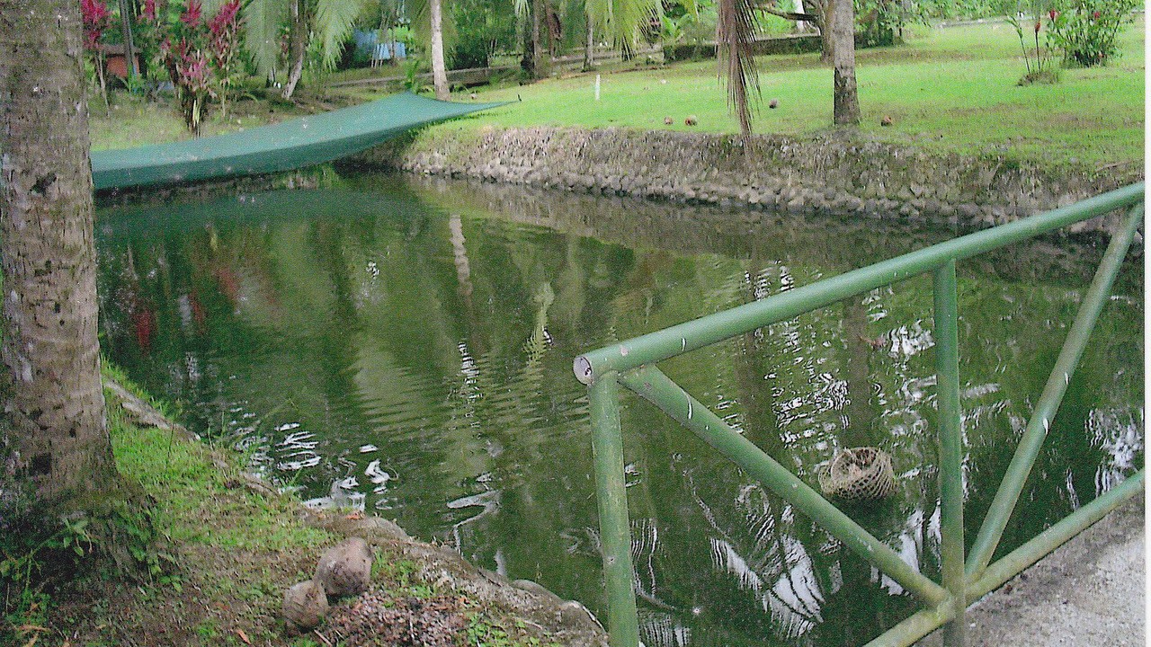 Photo of Outdoor in Puerto Viejo de Talamanca