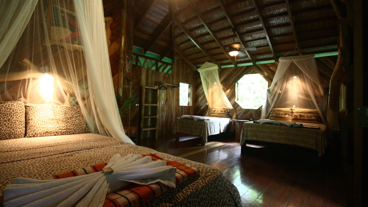 Photo of Livingroom in Cocles