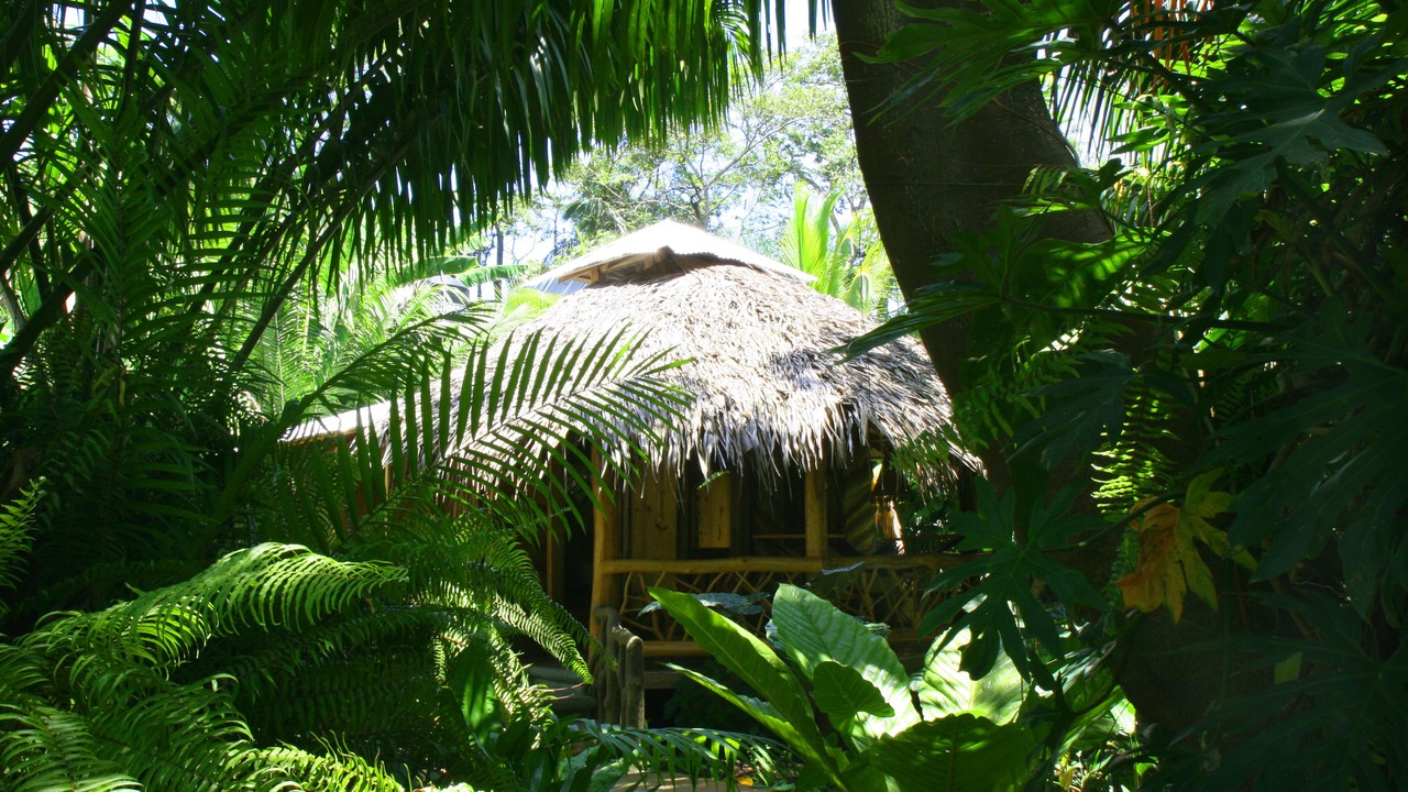 Photo of Others in Cocles
