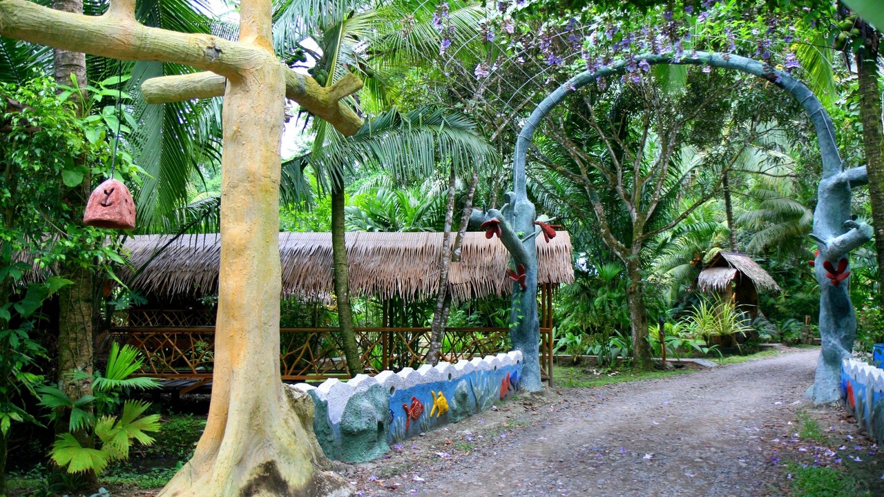 Photo of Outdoor in Cocles