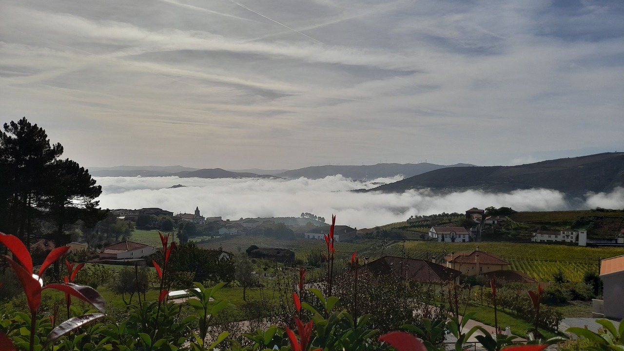 Photo of Outdoor in Provesende