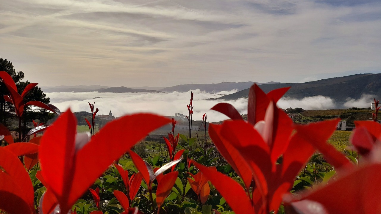 Photo of Outdoor in Provesende