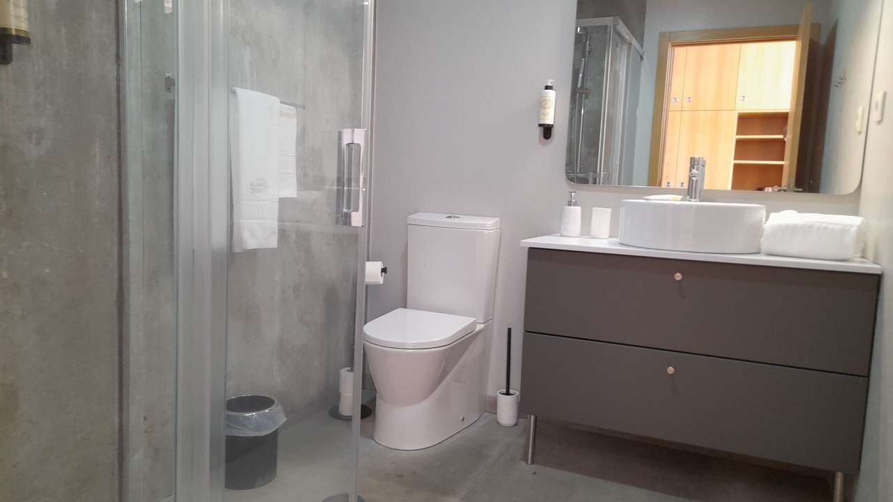 Photo of Bathroom in Provesende