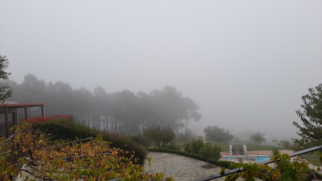 Photo of Outdoor in Provesende
