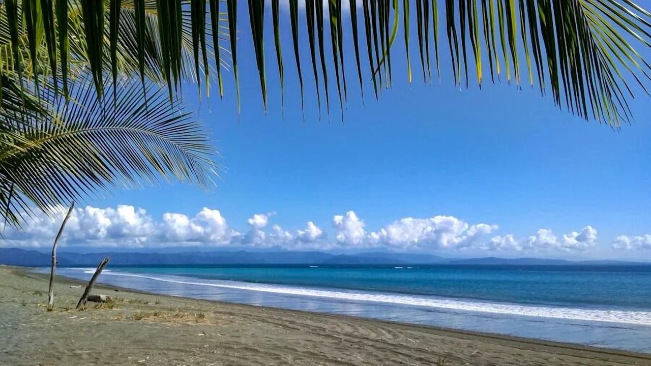 Photo of Others in Playa Blanca
