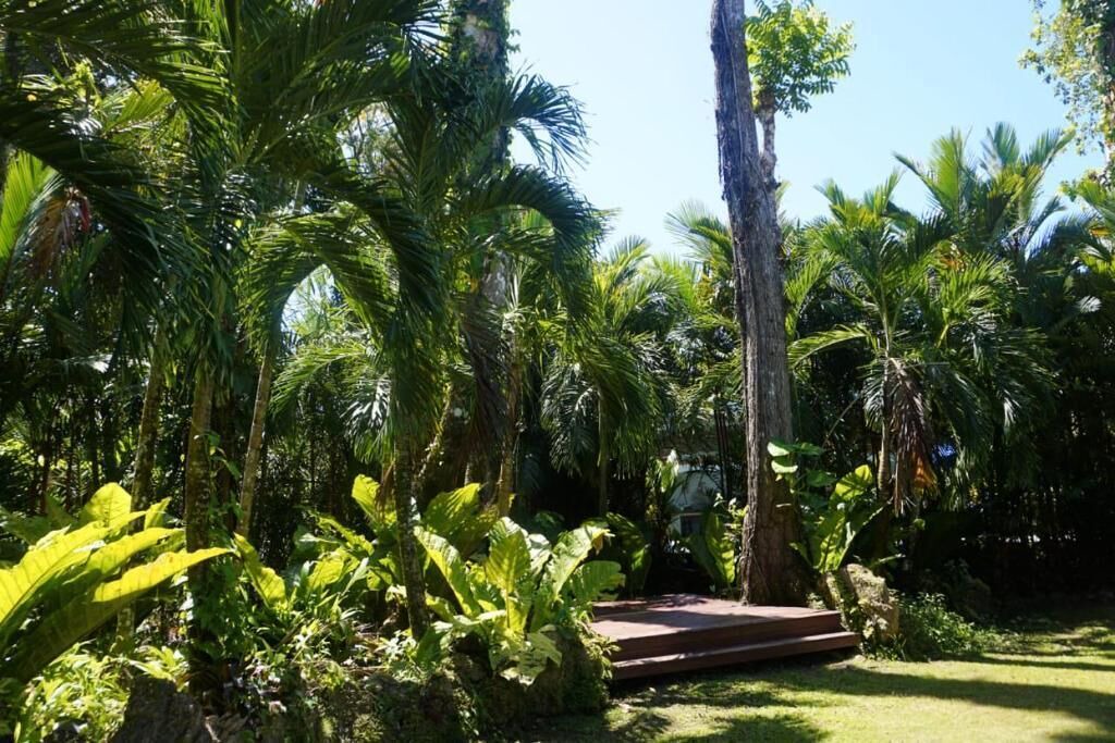 Photo of Outdoor in Punta Uva