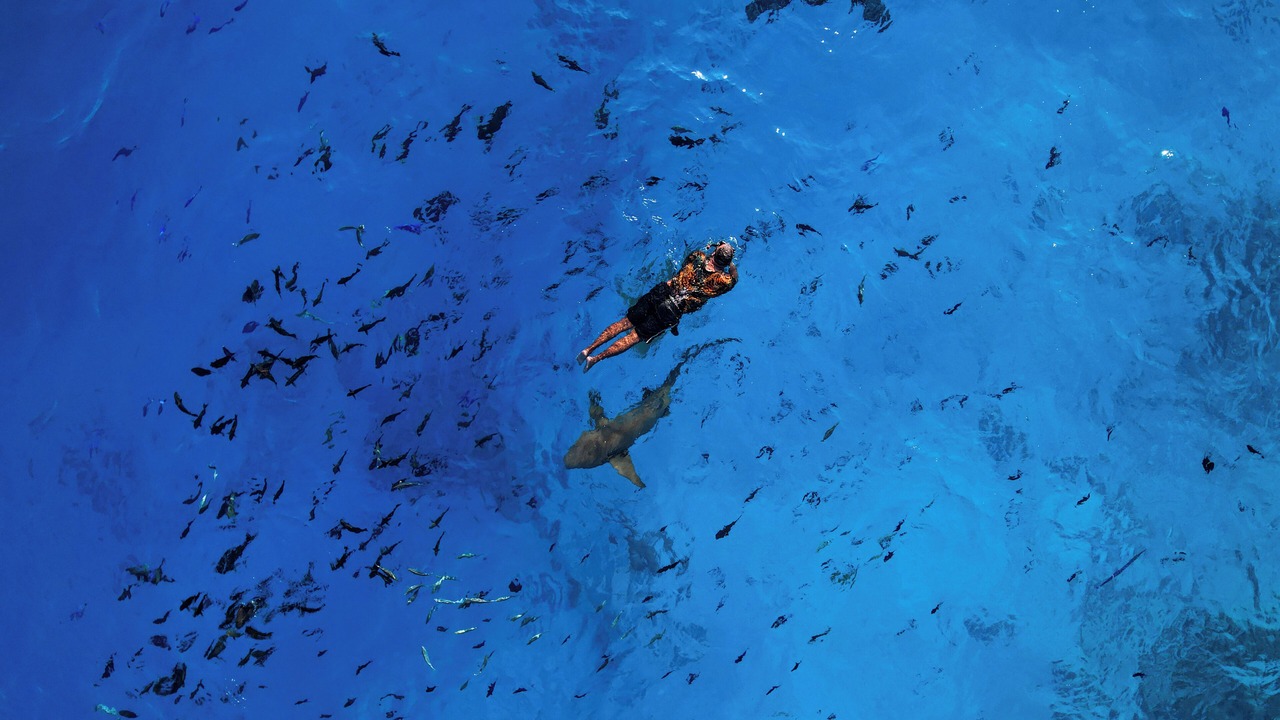 Photo of Others in Maafushi