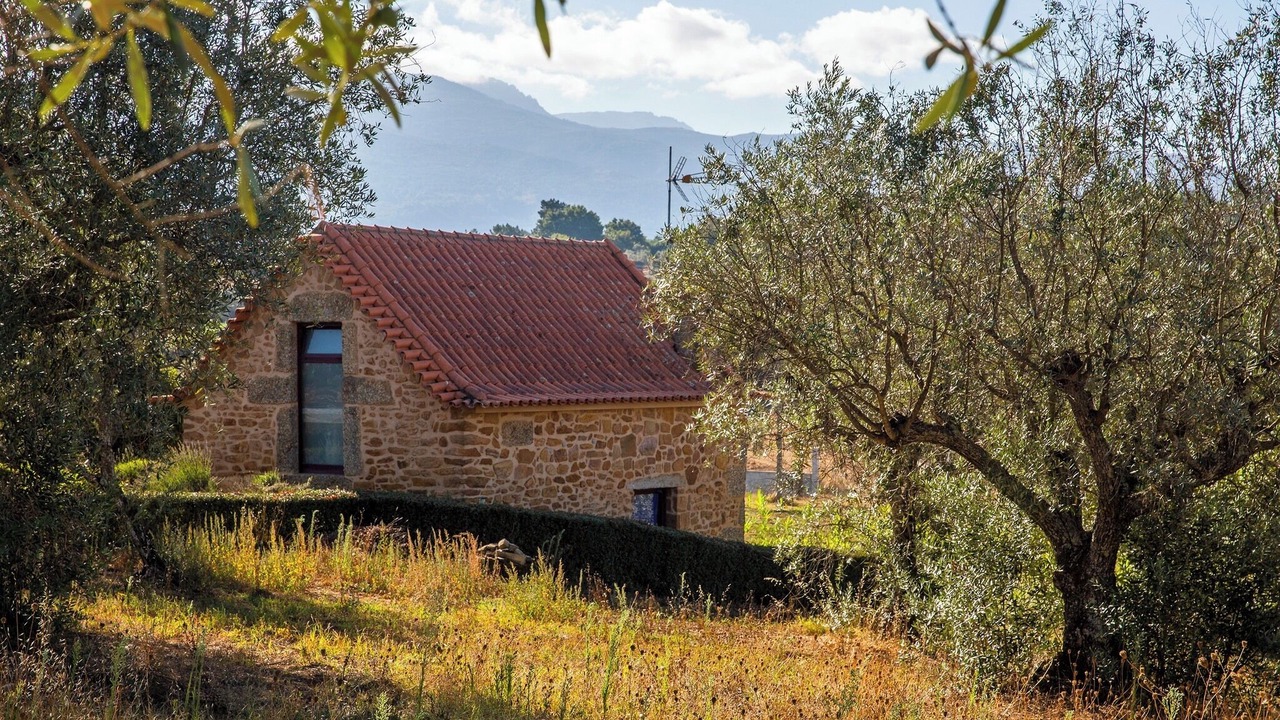 Photo of Outdoor in Seia