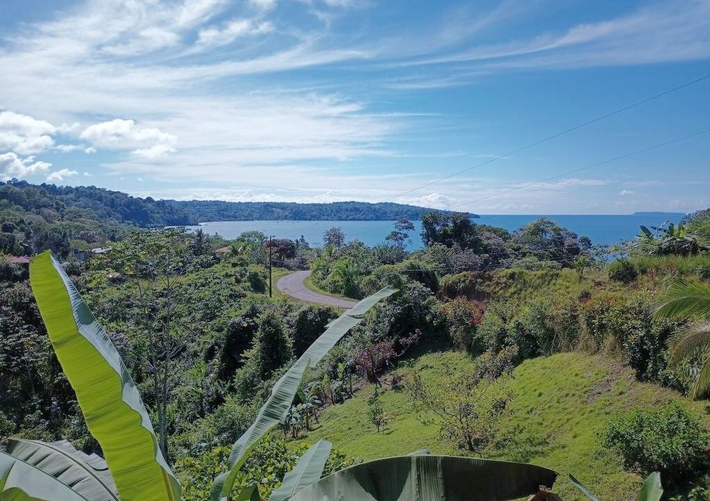 Photo of Outdoor in Drake Bay
