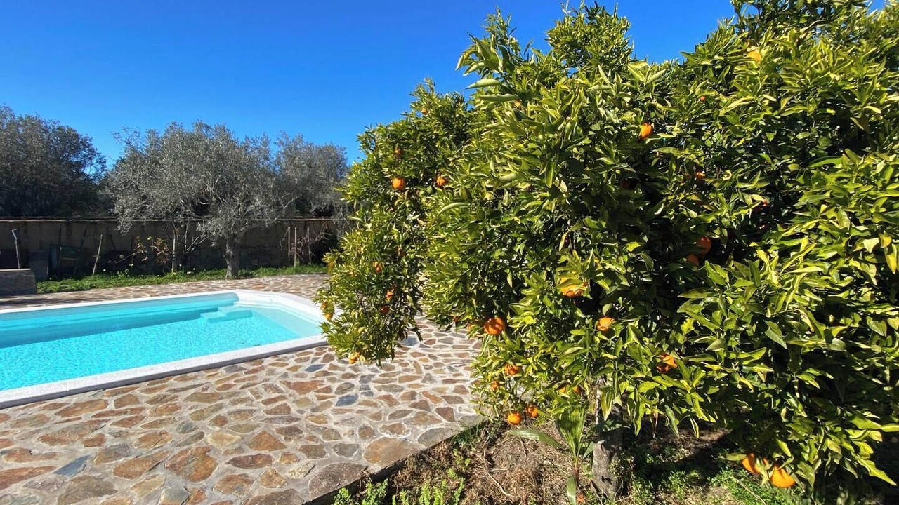 Photo of Outdoor in Sao Pedro do Corval