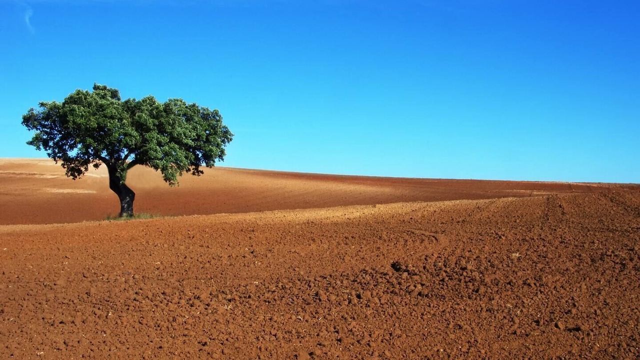 Photo of Others in Sao Pedro do Corval