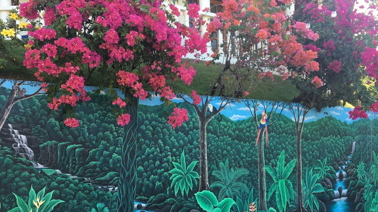 Photo of Outdoor in Tres Rios