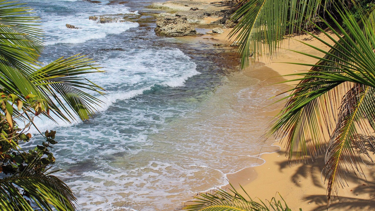 Photo of Others in Manzanillo