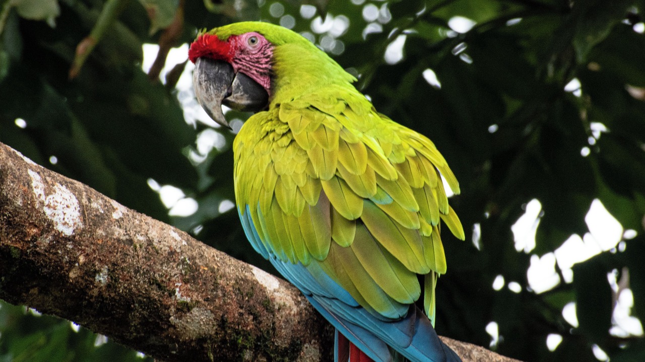 Photo of Others in Manzanillo