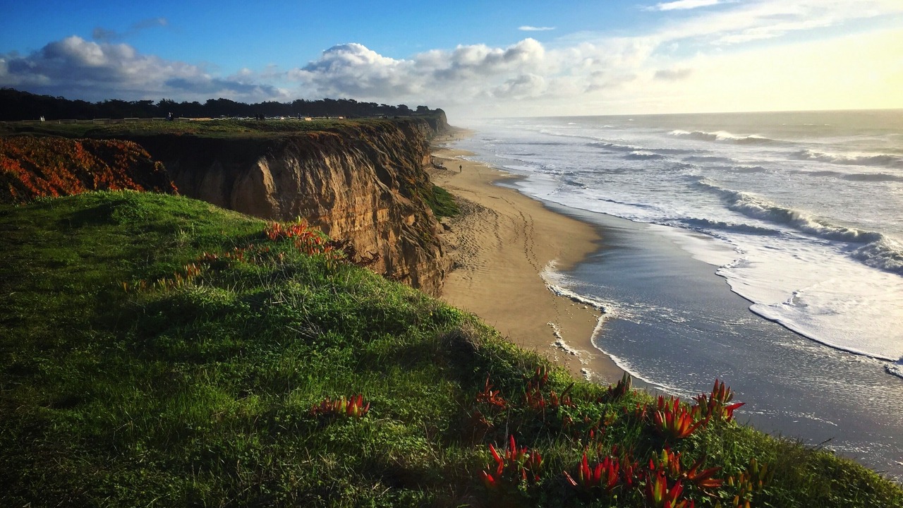 Photo of Others in Half Moon Bay