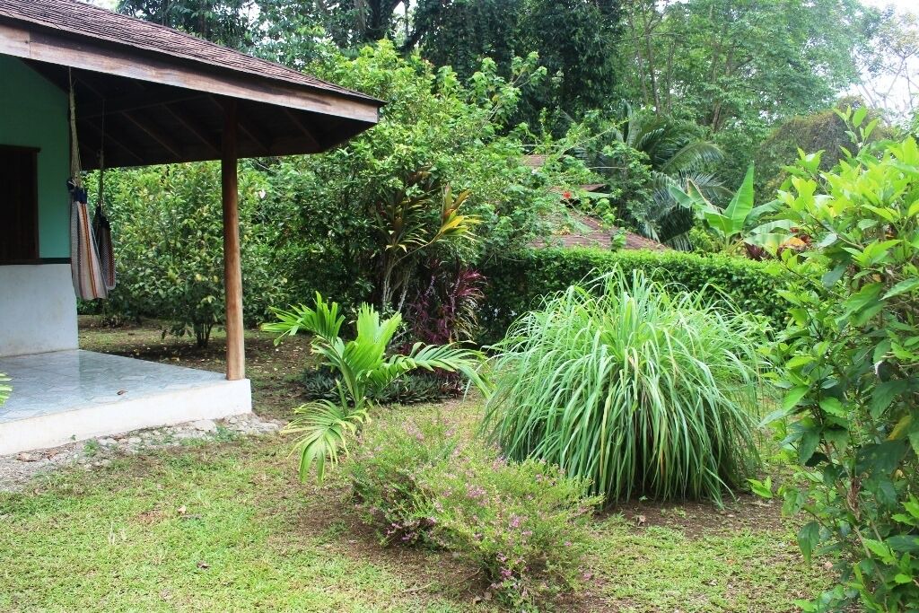 Photo of Outdoor in Cahuita