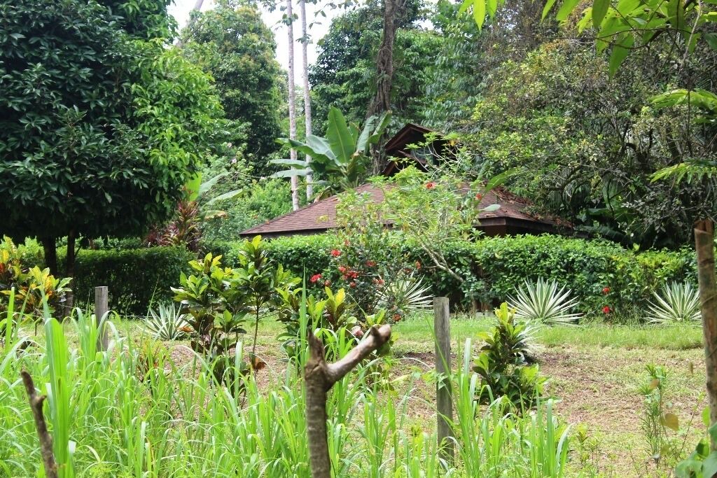 Photo of Outdoor in Cahuita
